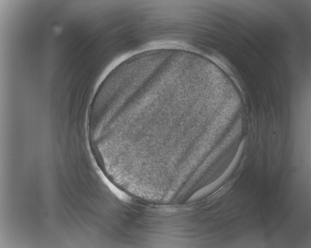 X0000080811438200701122229