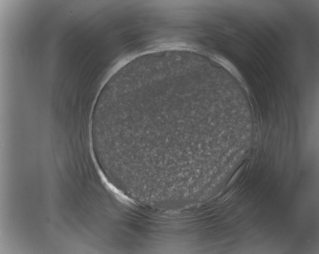 X0000080811439200701122229