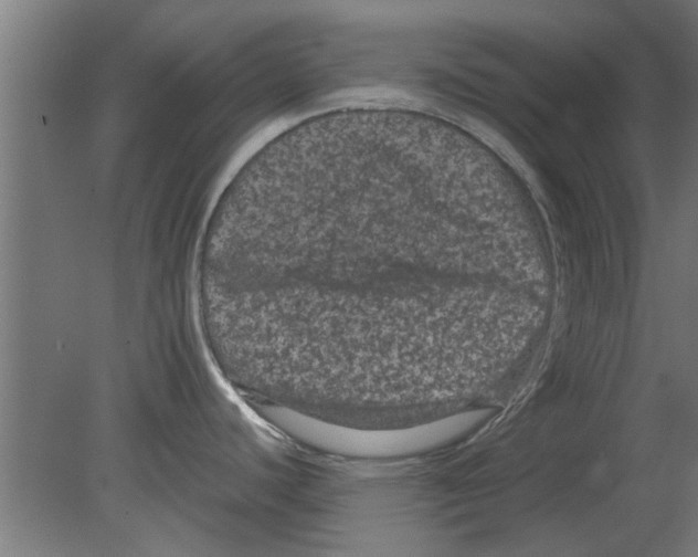 X0000080811440200701122229