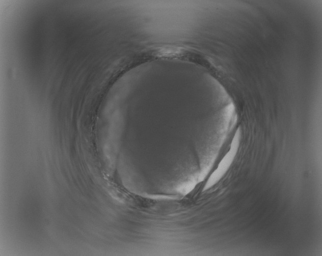 X0000080811441200701122228