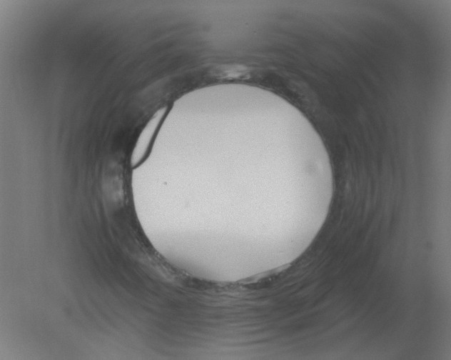 X0000080811442200701122228