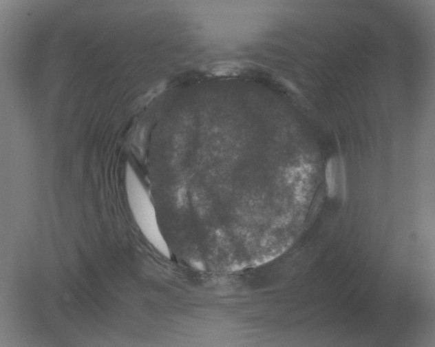 X0000080811443200701122228