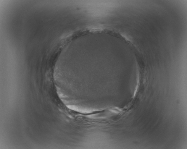 X0000080811445200701122228