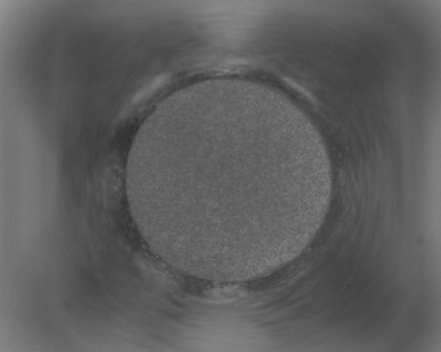 X0000080811447200701122228