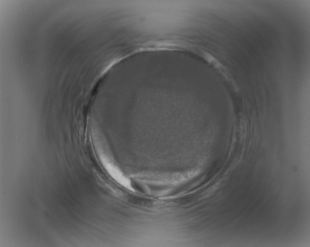 X0000080811449200701122228