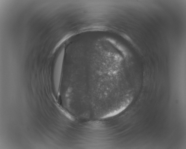 X0000080811450200701122228