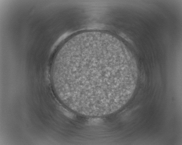 X0000080811454200701122228