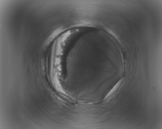 X0000080811455200701122228