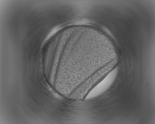 X0000080811456200701122228