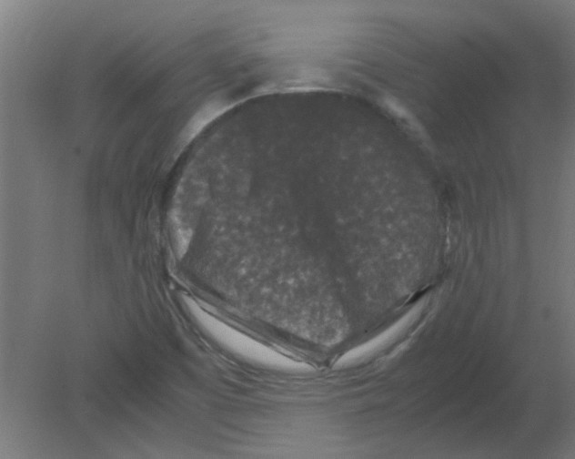 X0000080811457200701122228