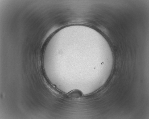 X0000080811458200701122228