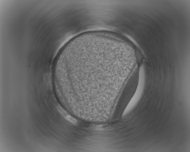 X0000080811460200701122228