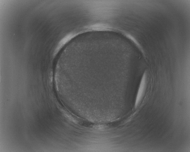 X0000080811461200701122228