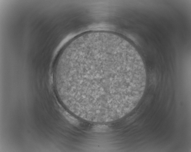 X0000080811462200701122228