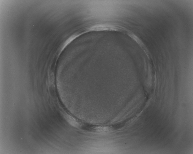 X0000080811465200701122228