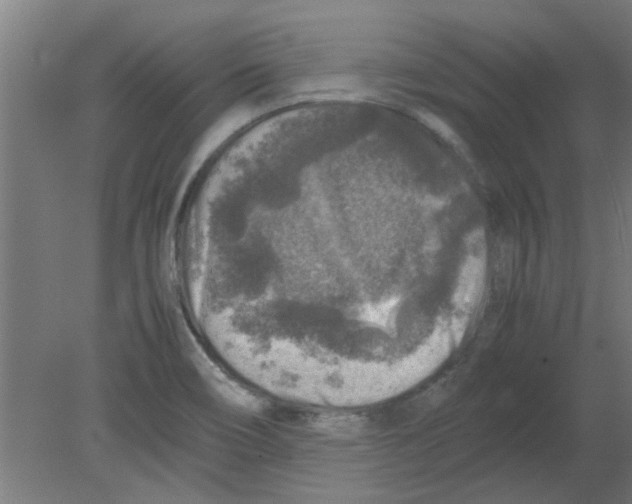 X0000080811466200701122228