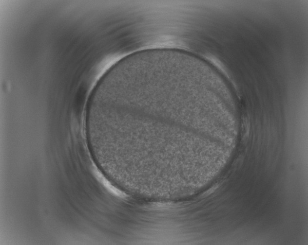 X0000080811468200701122228