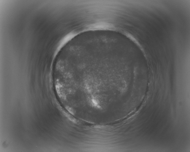 X0000080811469200701122228