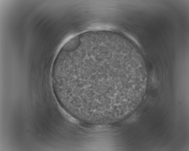 X0000080811471200701122228