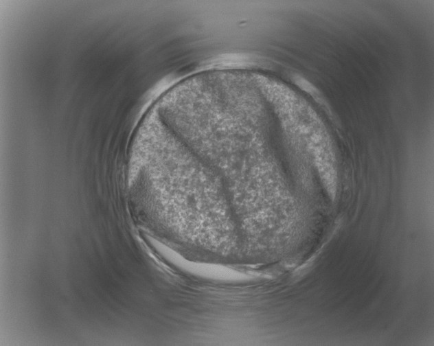 X0000080811473200701122228