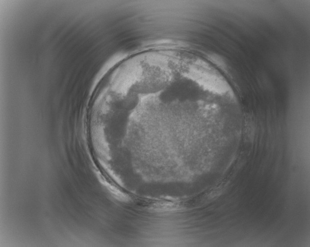 X0000080811474200701122228