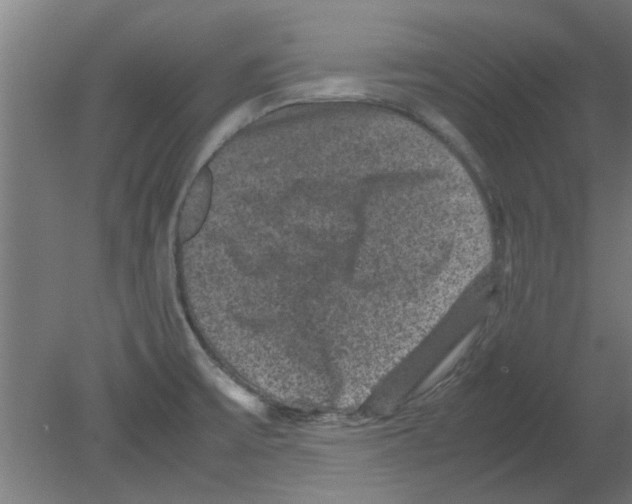 X0000080811475200701122228