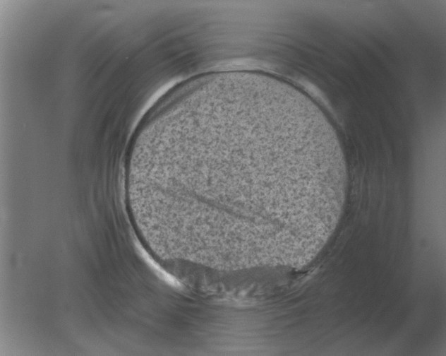 X0000080811476200701122228