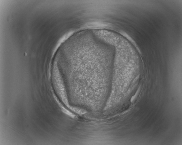 X0000080811477200701122228