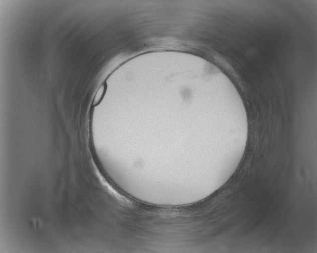 X0000080811479200701122228