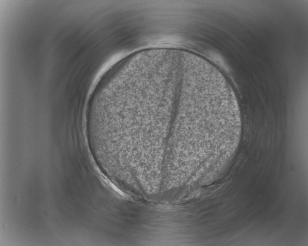 X0000080811480200701122228