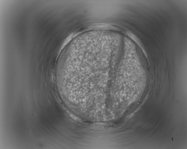 X0000080811481200701122228