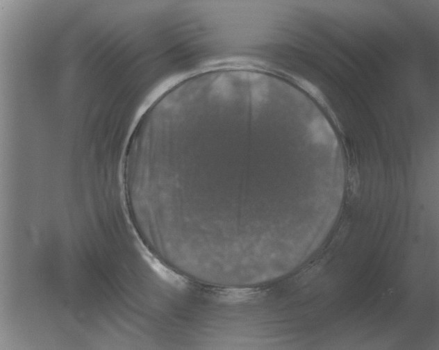 X0000080811482200701122228