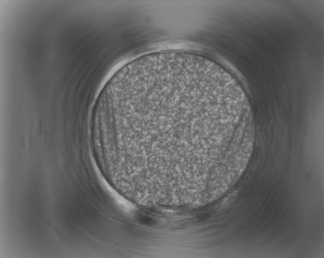 X0000080811483200701122228