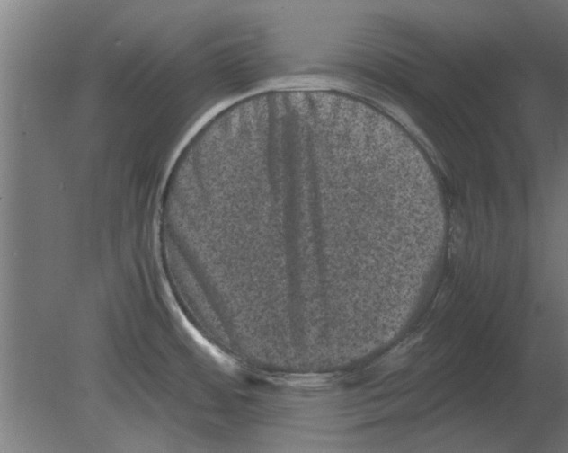 X0000080811484200701122228