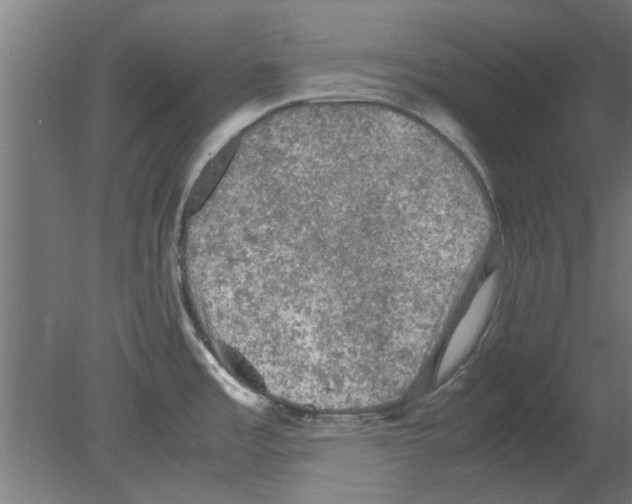 X0000080811485200701122228