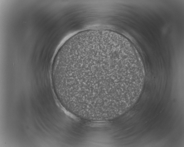 X0000080811486200701122228