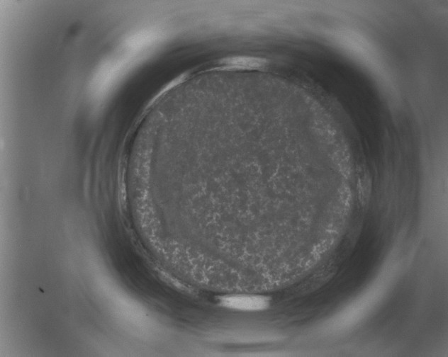 X0000080811487200701122228