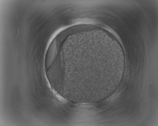 X0000080811488200701122228