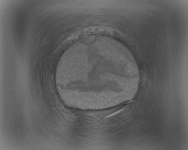 X0000080811489200701122227