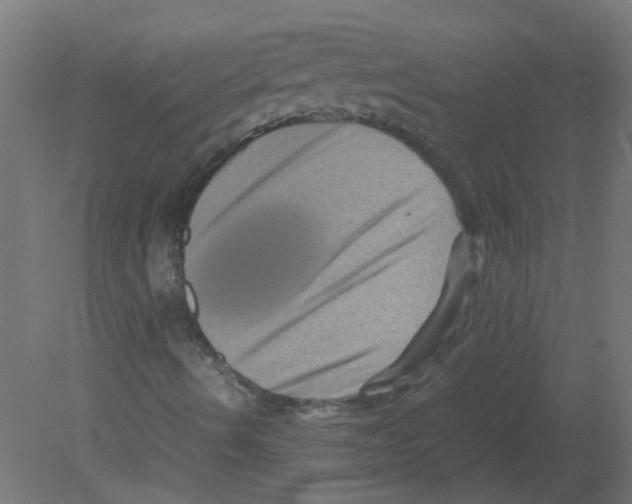 X0000080811490200701122227