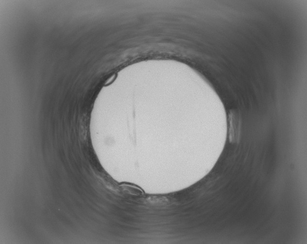 X0000080811491200701122227