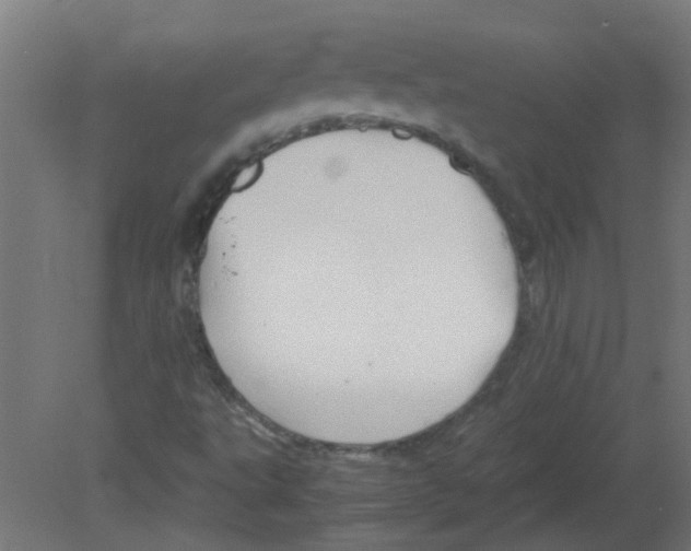 X0000080811495200701122227