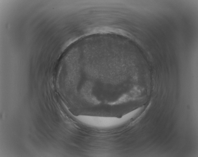 X0000080811497200701122227