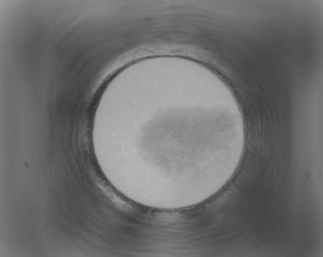 X0000080811498200701122227