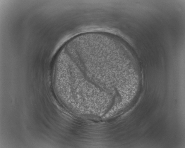 X0000080811501200701122227