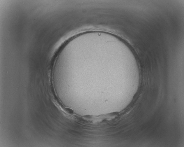 X0000080811503200701122227