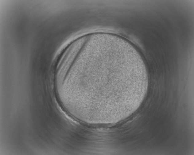 X0000080811504200701122227