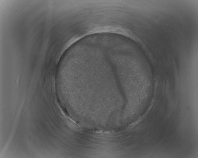 X0000080811505200701122227