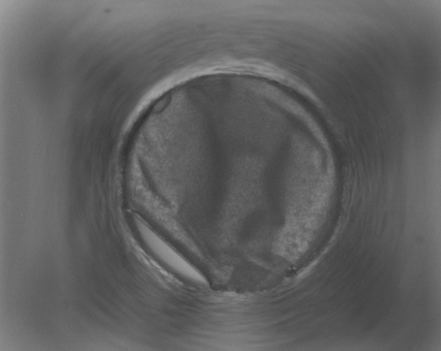 X0000080811506200701122227