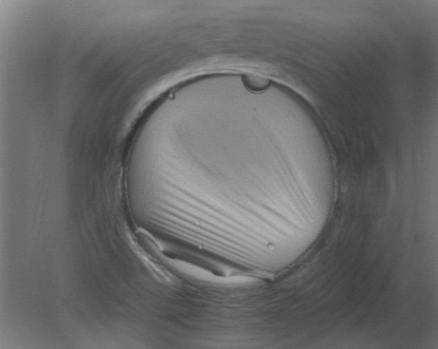 X0000080811507200701122227